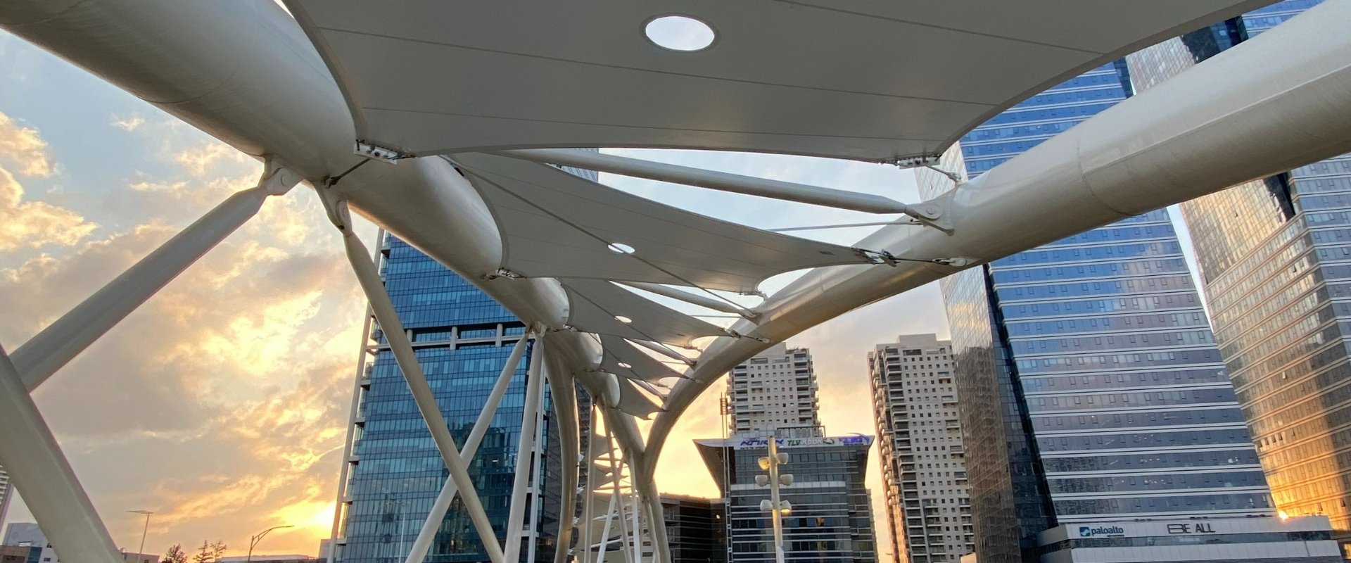 פטוריז קרוי והצללה