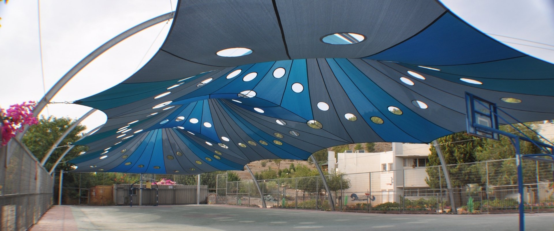 פטוריז קרוי והצללה